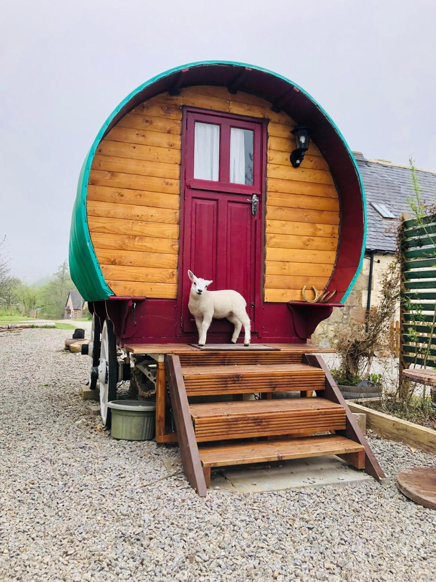 Bowtop Wagon At Lettoch Farm Keith Exterior photo